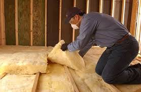 Best Insulation Removal  in Benton, IL